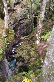 Mostnica Gorge