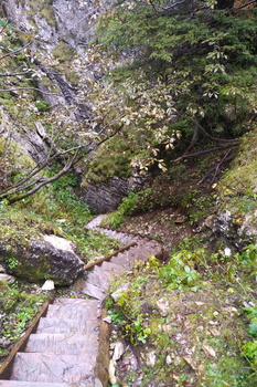 Steps up the Velida Planina