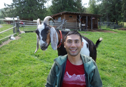 Goat farm in Lumby, British Columbia, Canada 2018