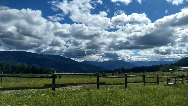 20180707 095044 fence