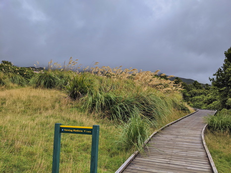Mt Taranaki Summit hike
