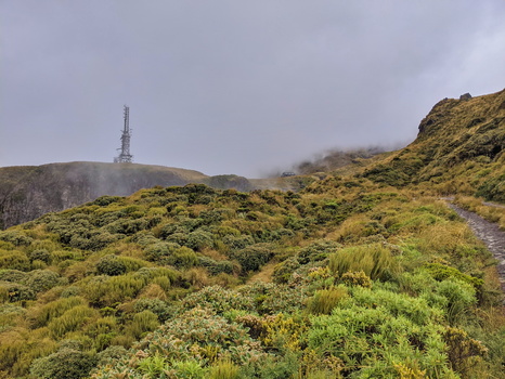 Mt Taranaki Summit hike