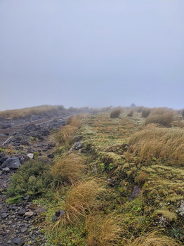 Mt Taranaki Summit hike