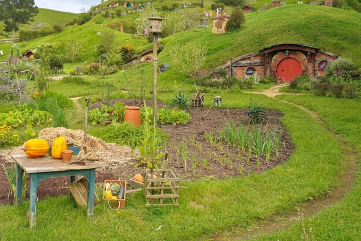 My future garden patch with my future house