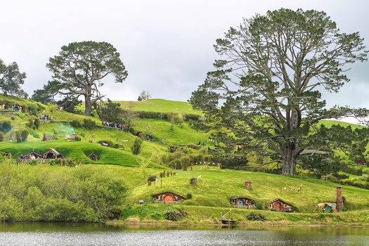 Hobbiton across the lake with view of the Party Tree