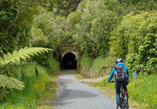 Remutaka Cycle Trail, Wellington, New Zealand 2024