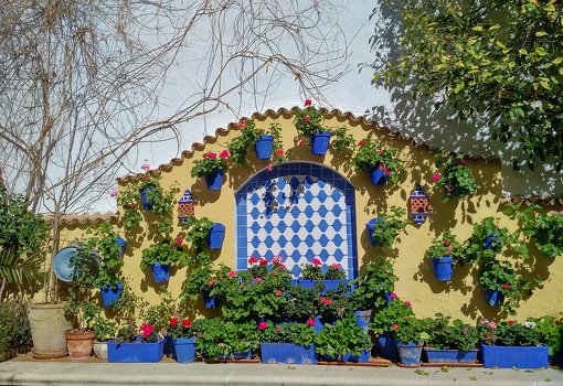 Cordoba Patios