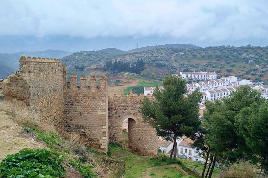 Alcazaba ramparts
