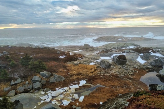 Polly's Cove