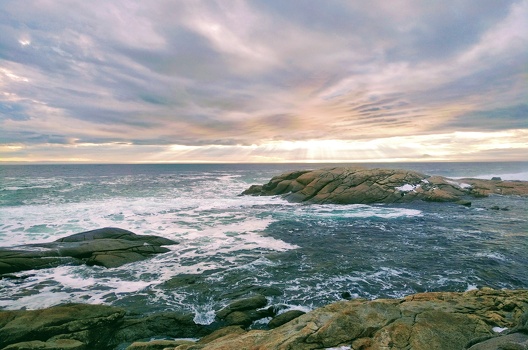 Polly's Cove