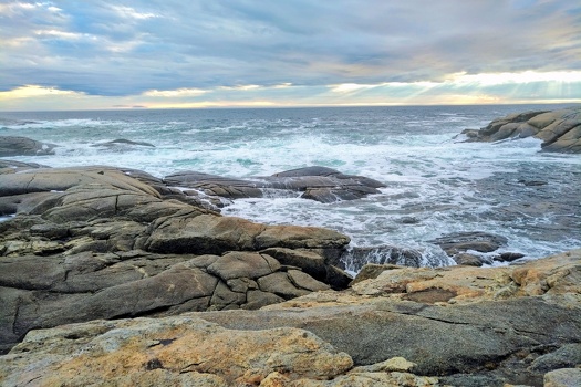 Polly's Cove
