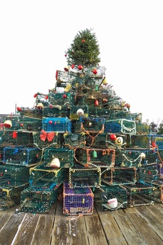 Lobster cages