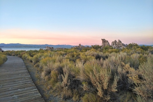 Boardwalk at Mono Lake