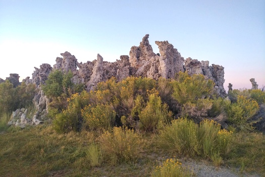 Mono Lake Tufa State Natural Reserve
