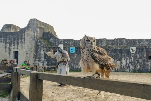 Spectacle of Les Aigles des Remparts