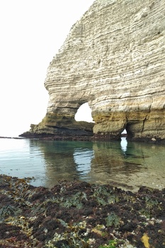 La Falaise d'Amont in Etretat