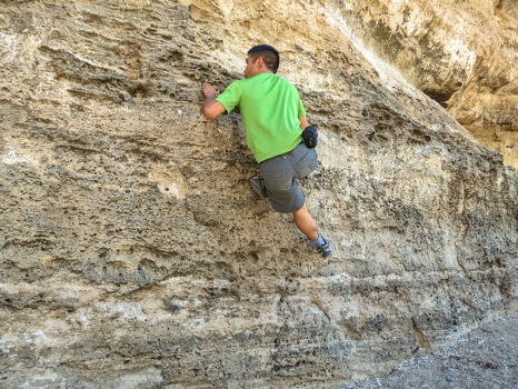 Plam climbing