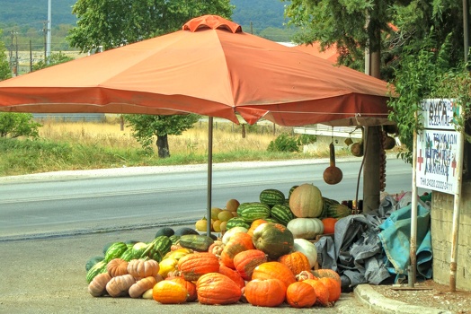 Gourds