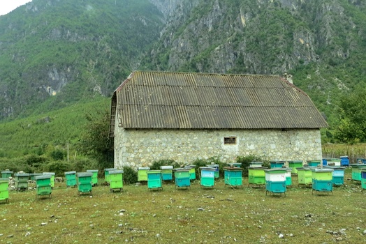 Beekeeper