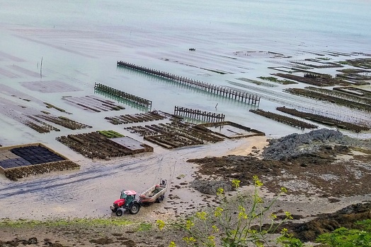 Oyster farm at St-Malo