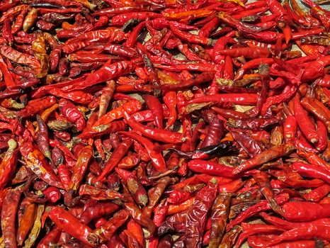 Drying peppers