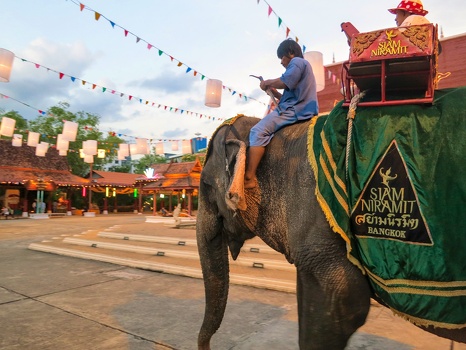Riding the elephant