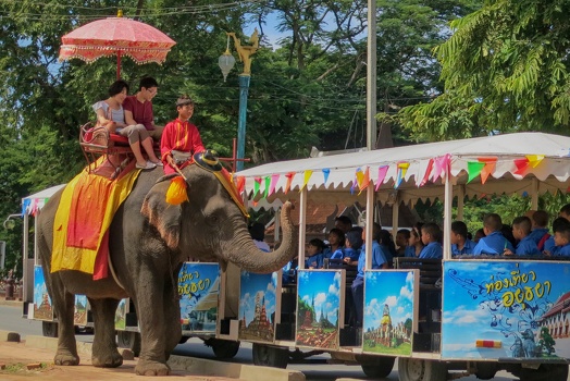 Elephants and schoolkids