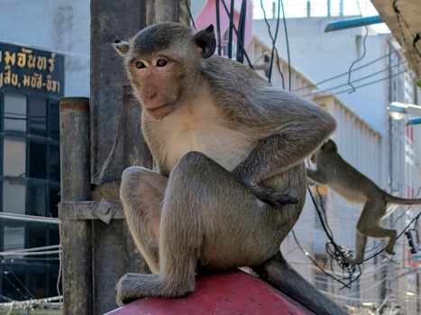 Thinking