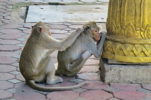 You scratch my back