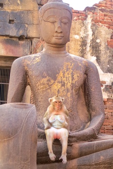 Sitting on the Buddha statue