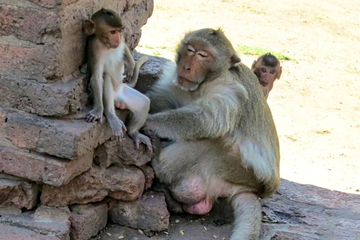 Talking to child