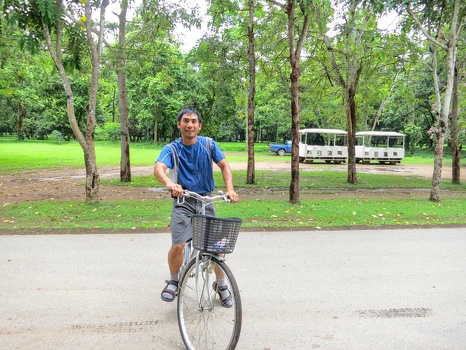 Plam biking