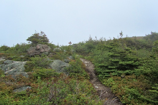 East Coast Trail