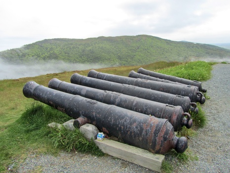 Cannons