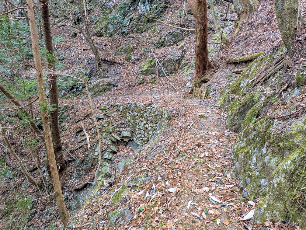 PXL_20250218_023242039.jpg